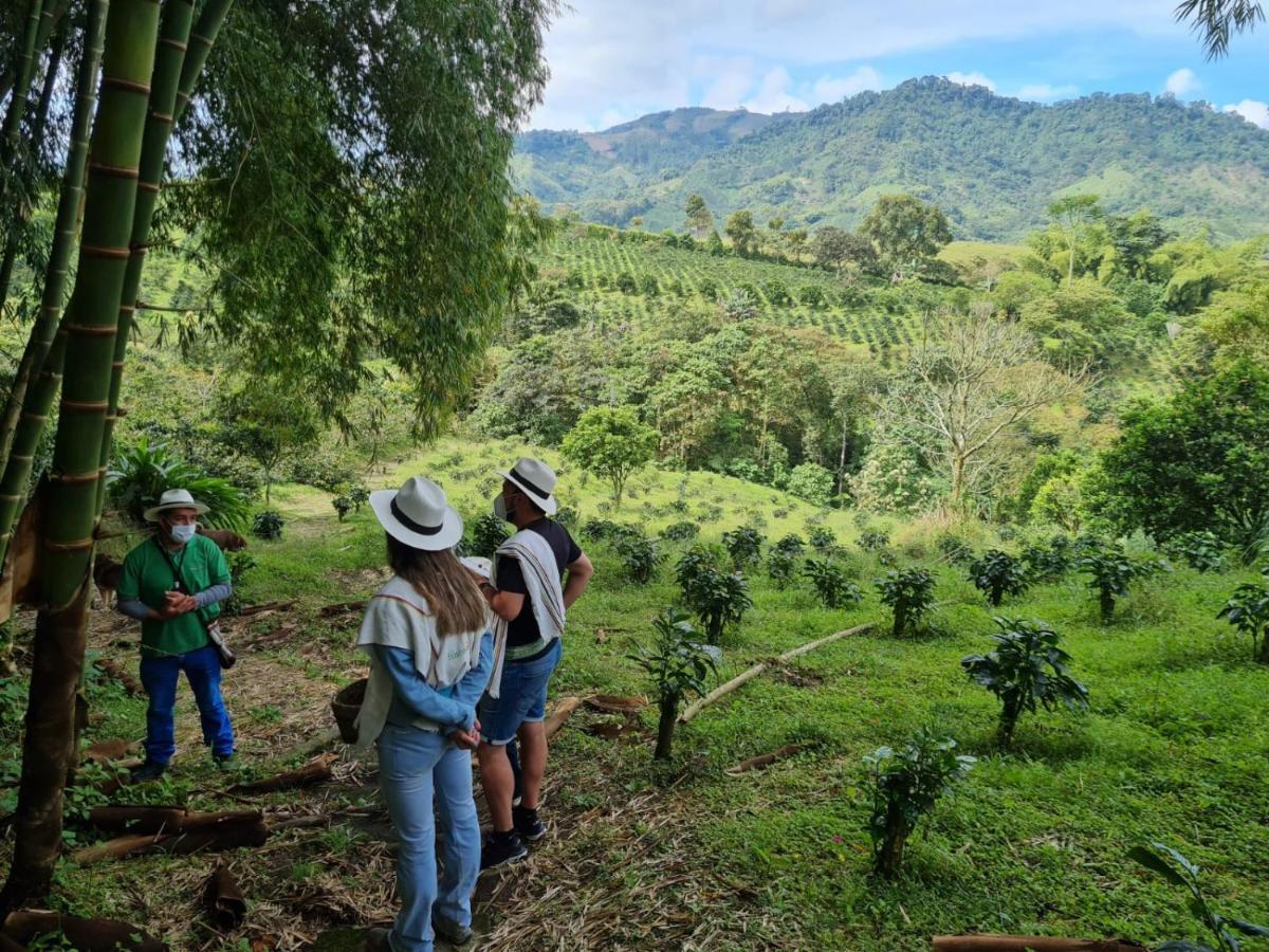 Finca Del Cafe - Casa Typica Santa Rosa de Cabal Εξωτερικό φωτογραφία